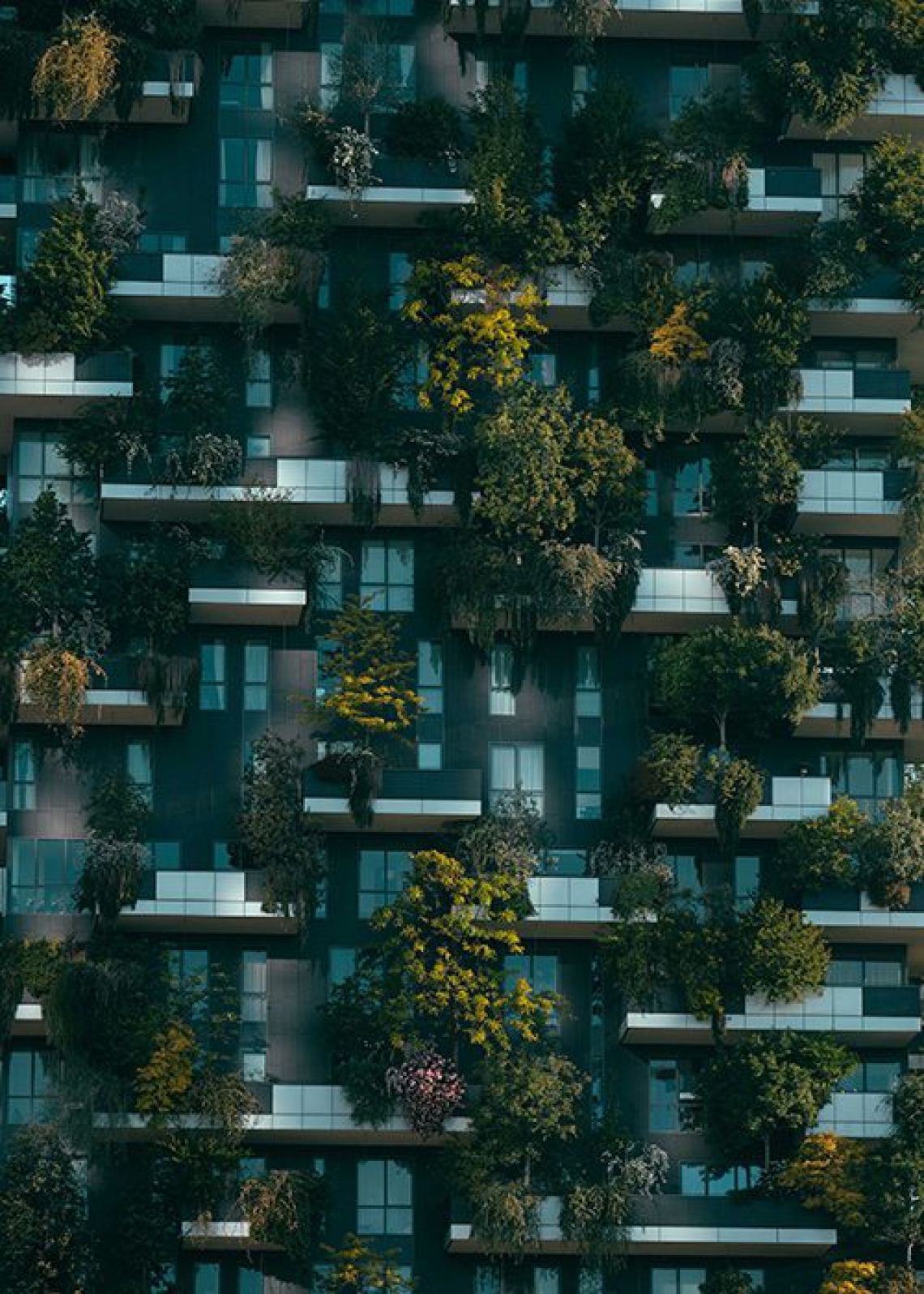 pexels-francesco-ungaro-4322027-min