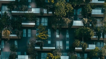 pexels-francesco-ungaro-4322027-min